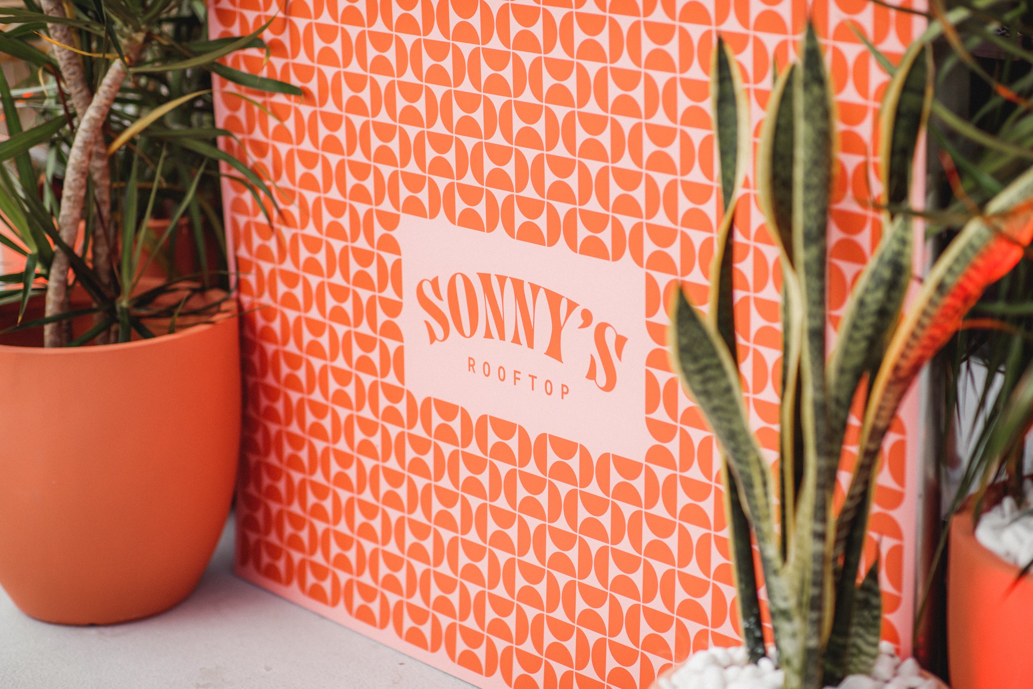Branded DJ Booth with pot plants