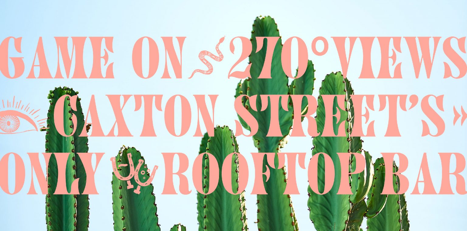 Colorful text reading "Game On s270 Views Cactus Street's Only Rooftop Bar" overlaid on tall green cacti against a light blue sky.