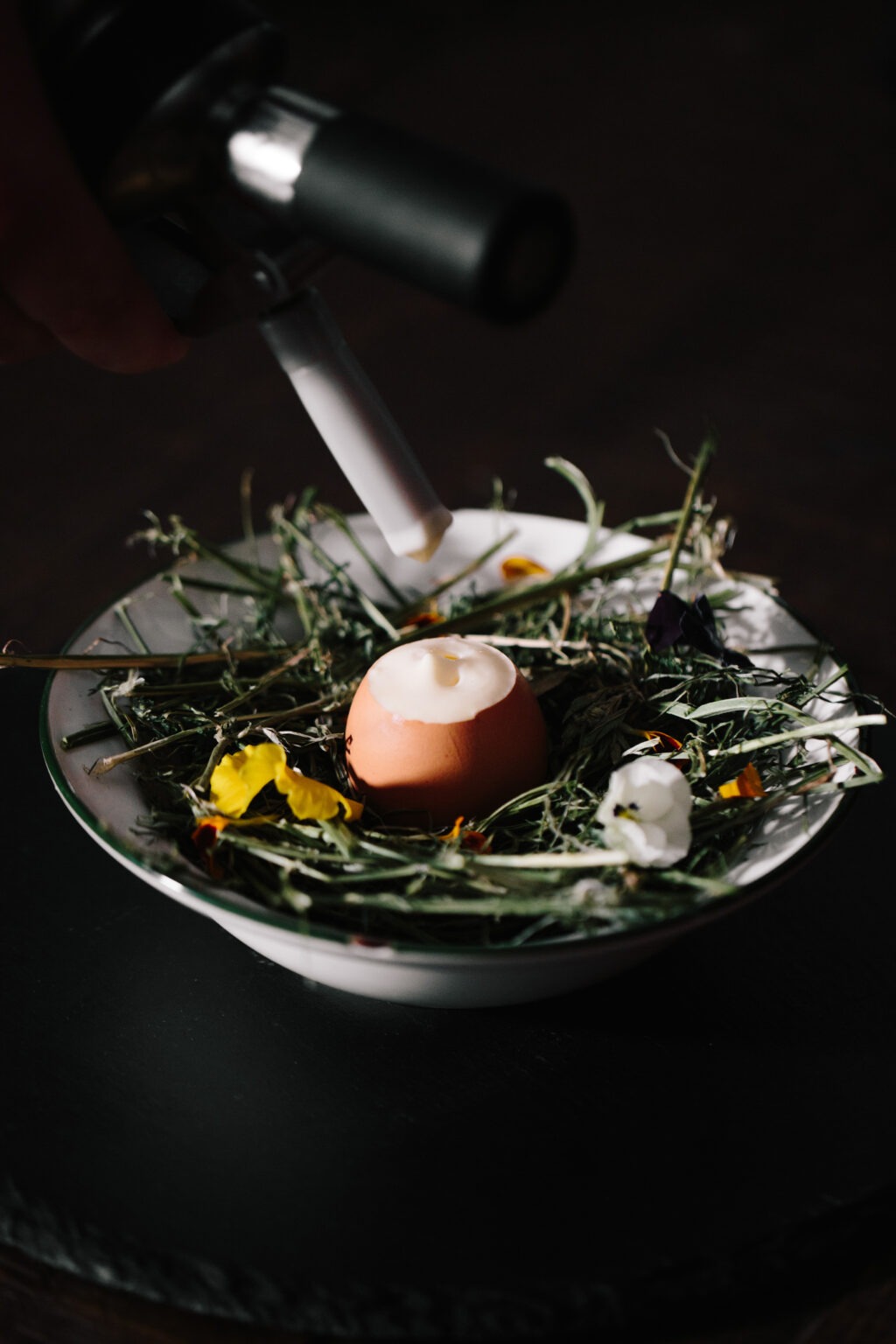A soft-boiled egg in its shell sits on a bed of microgreens and edible flowers on a white plate, lit by a studio light against a dark background.